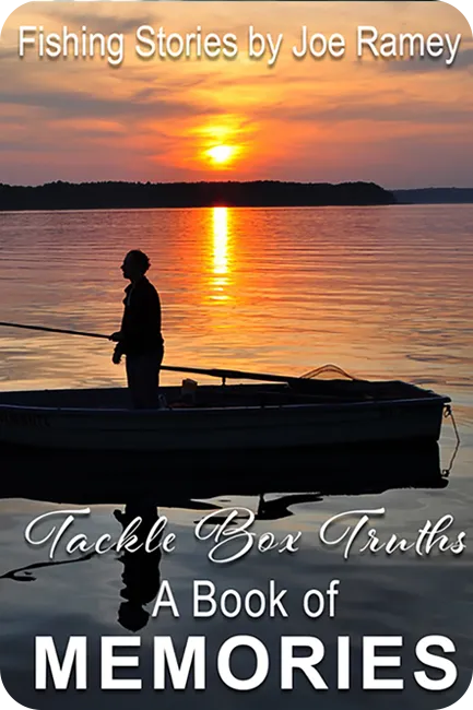 Fiction Book - Anti Paradox